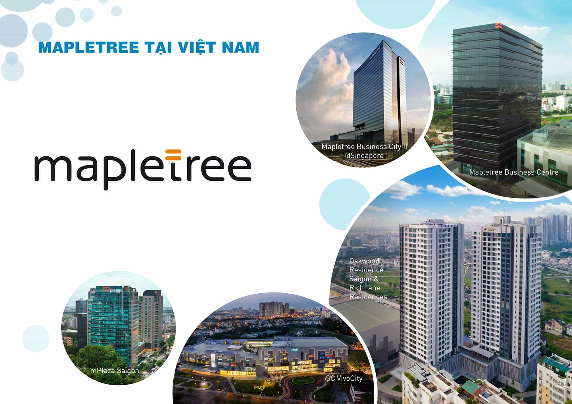 CĐT Mapletree