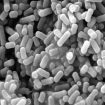 FERMENTUM