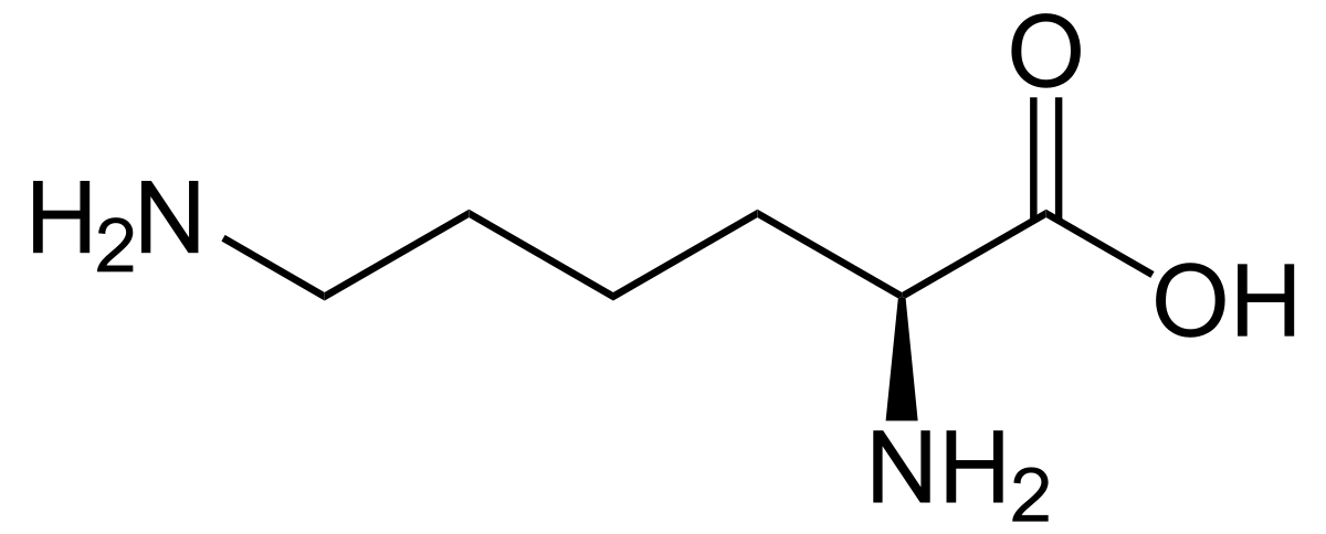 LYSINE 
