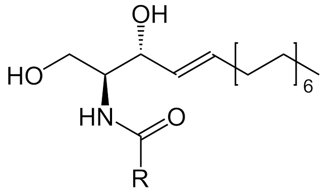 CERAMIDE NP