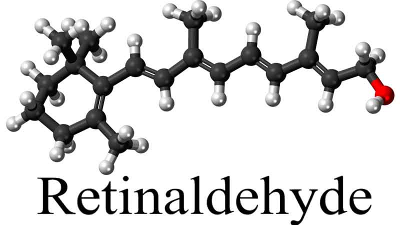 RETINYL PALMITATE