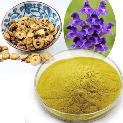 Scutellaria Baicalensis Root Extract
