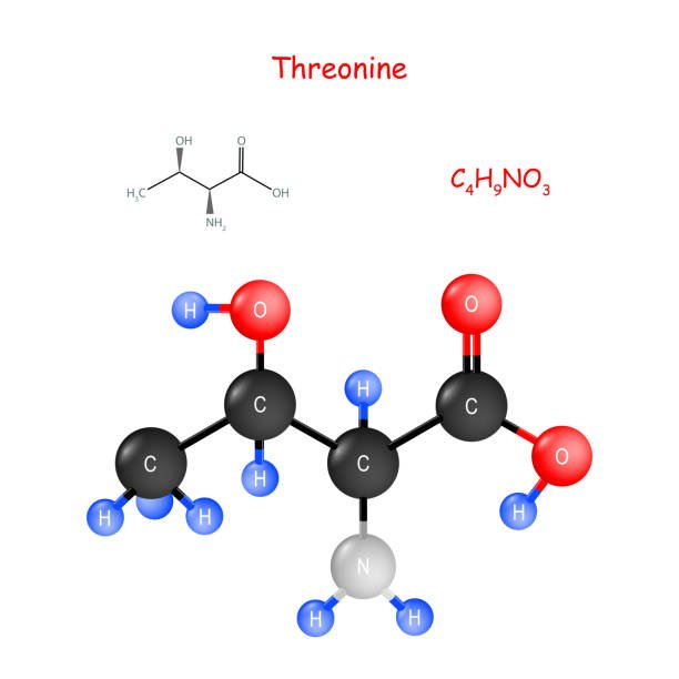 THREONINE - HỢP CHẤT CẦN THIẾT ĐỂ SẢN XUẤT COLLAGEN