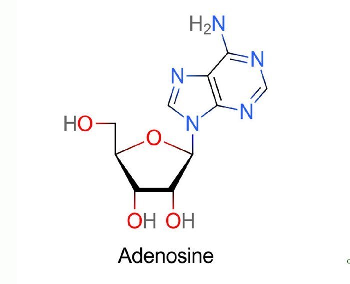 Adenosine - Thành phần “sáng giá” trong làng dưỡng da 