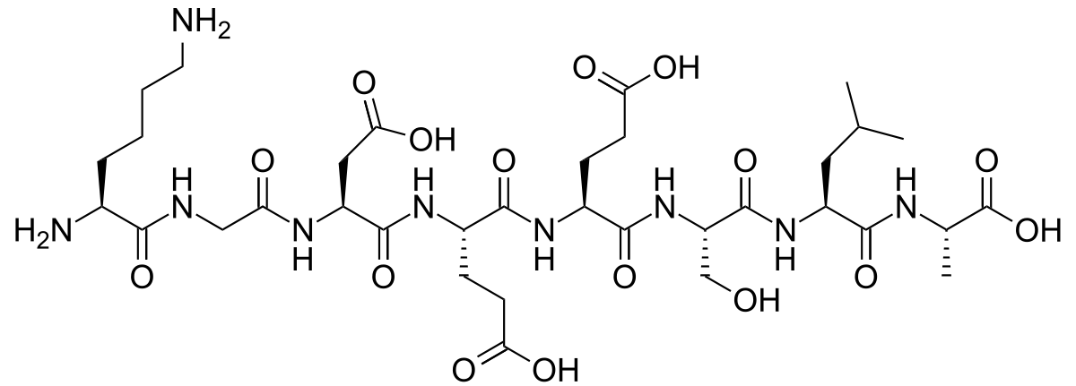 CẤU TRÚC PEPTIDE