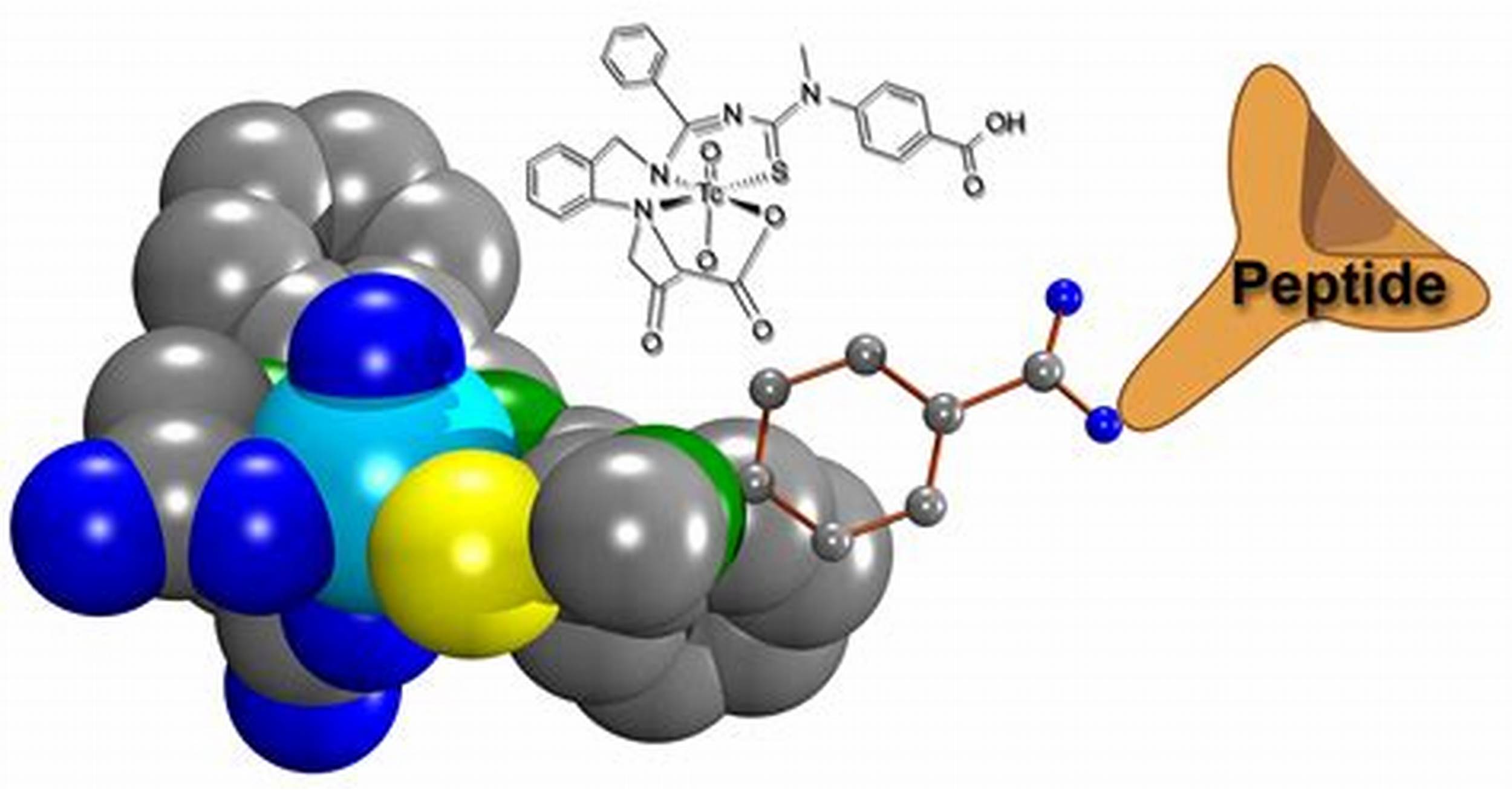 dự đoán đặc tính của peptide