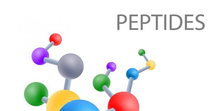 hướng dẫn về độ hoà tan của peptides