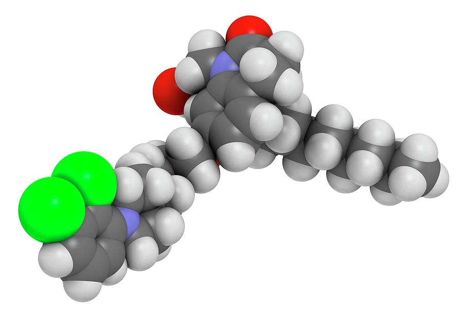 sự hoà tan của peptides trong dung dịch
