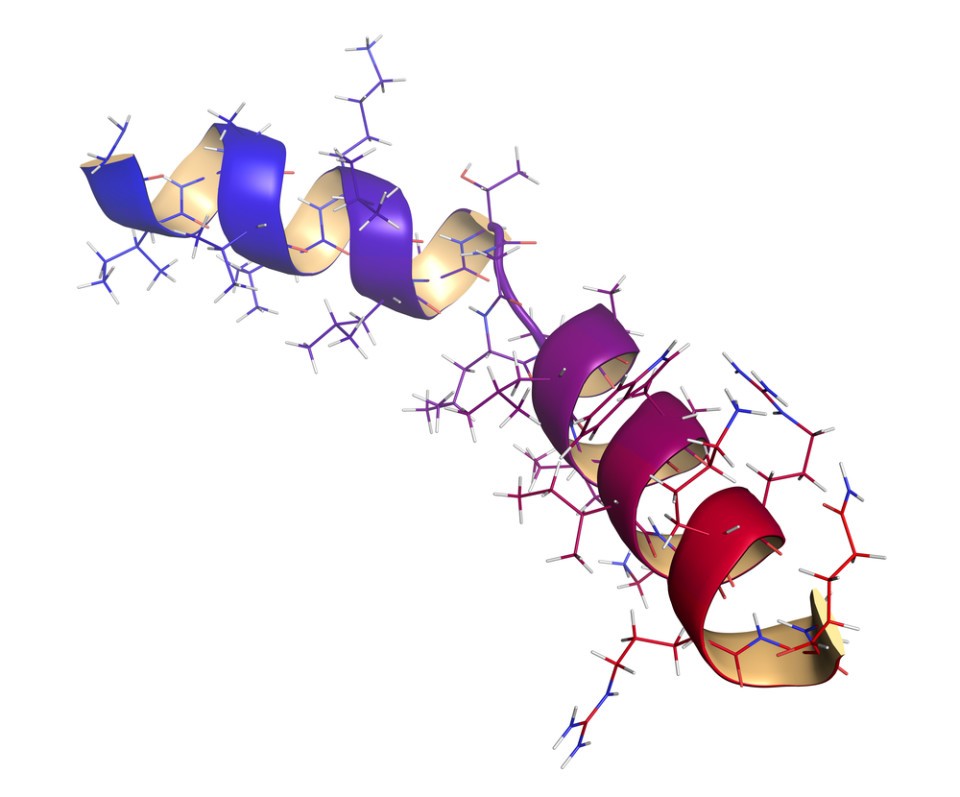 vai trò của peptide dsip