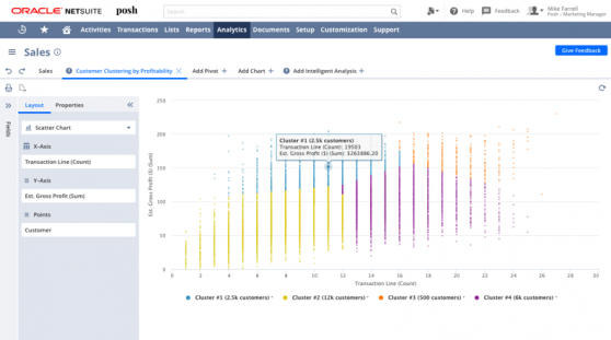 SuiteAnalytics