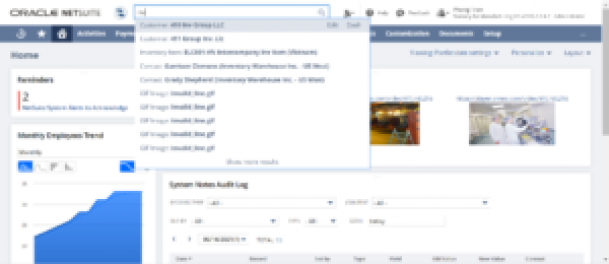 Tính năng Global Search của Oracle NetSuite ERP