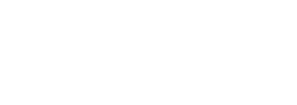 Logo Footer