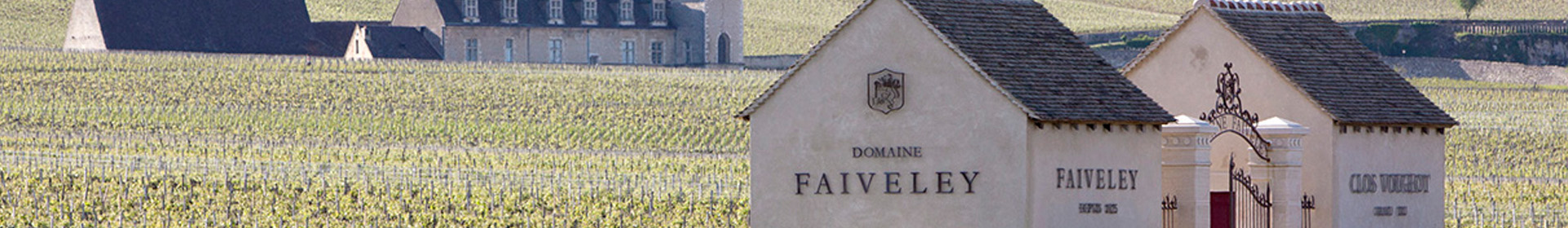 Nhà sản xuất Domaine Faiveley - Bourgogne