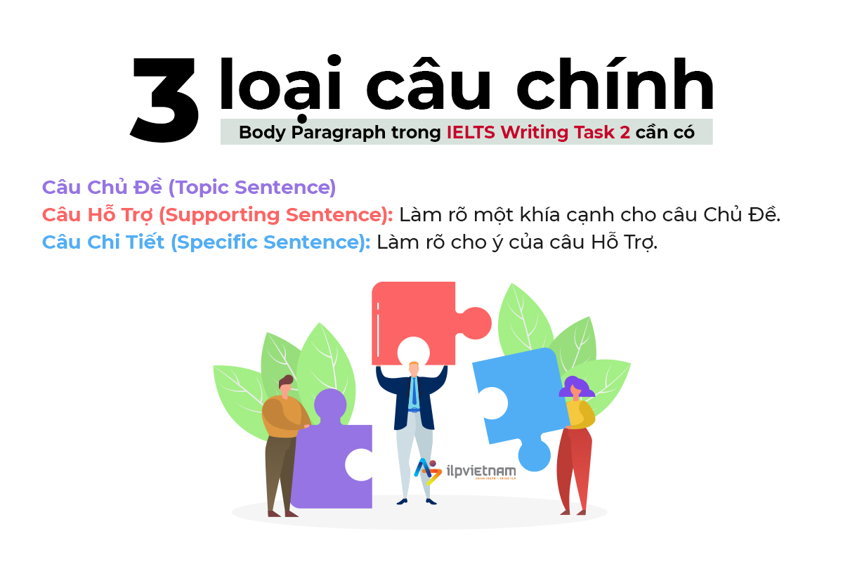 3 loại câu chính trong phần thân bài writing