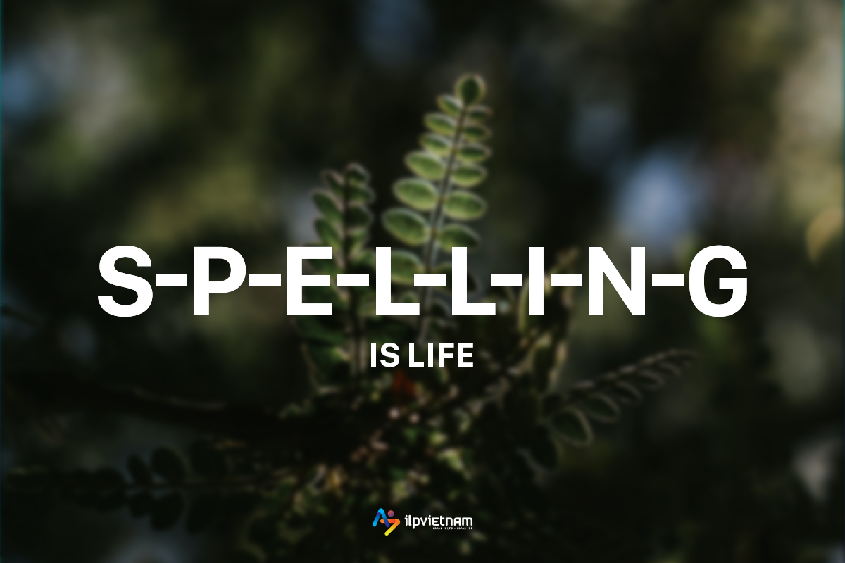 chú ý đến spelling khi luyện listening ielts