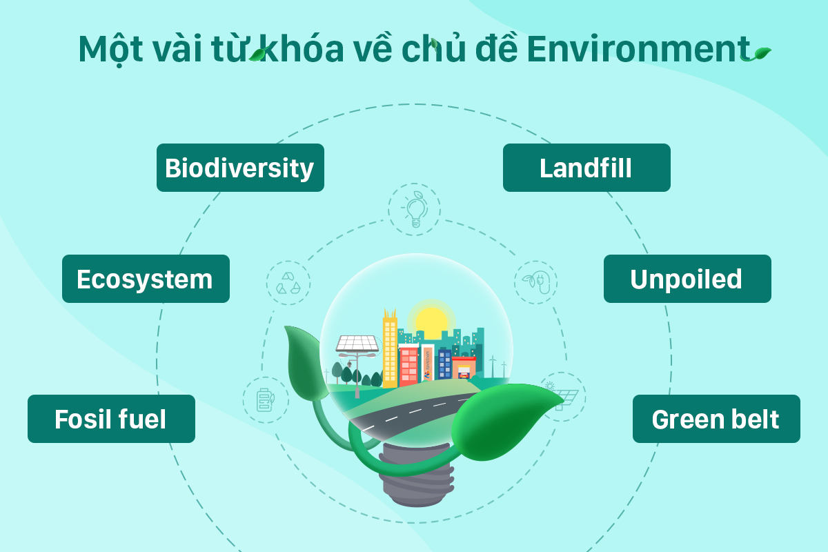 luyện nghe IELTS - chủ đề environment