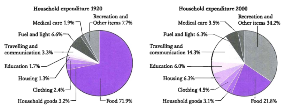 đề writing task 1 - dạng pie chart đề số 5