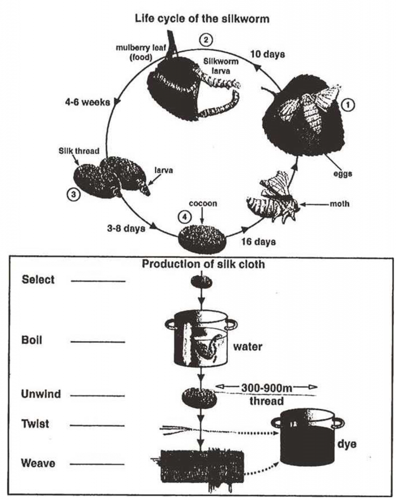 đề writing task 1 dạng process đề số 10