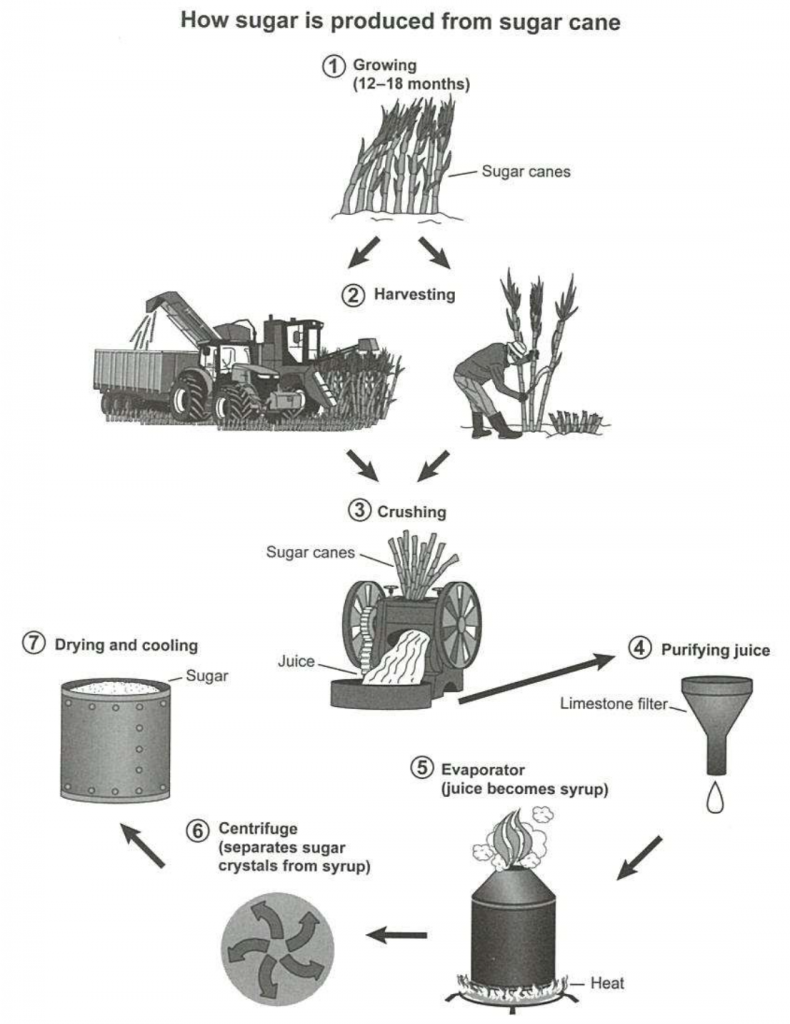 đề writing task 1 dạng process đề số 11