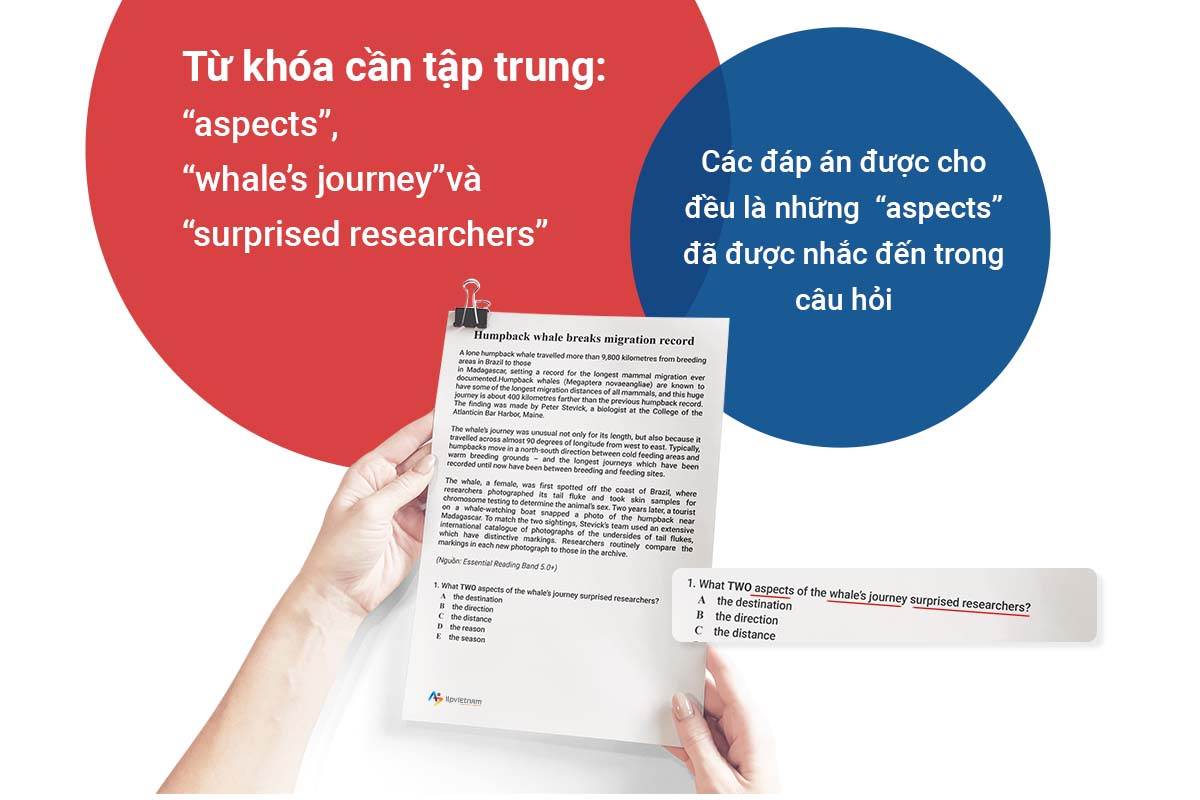 bài multiple choice ielts reading