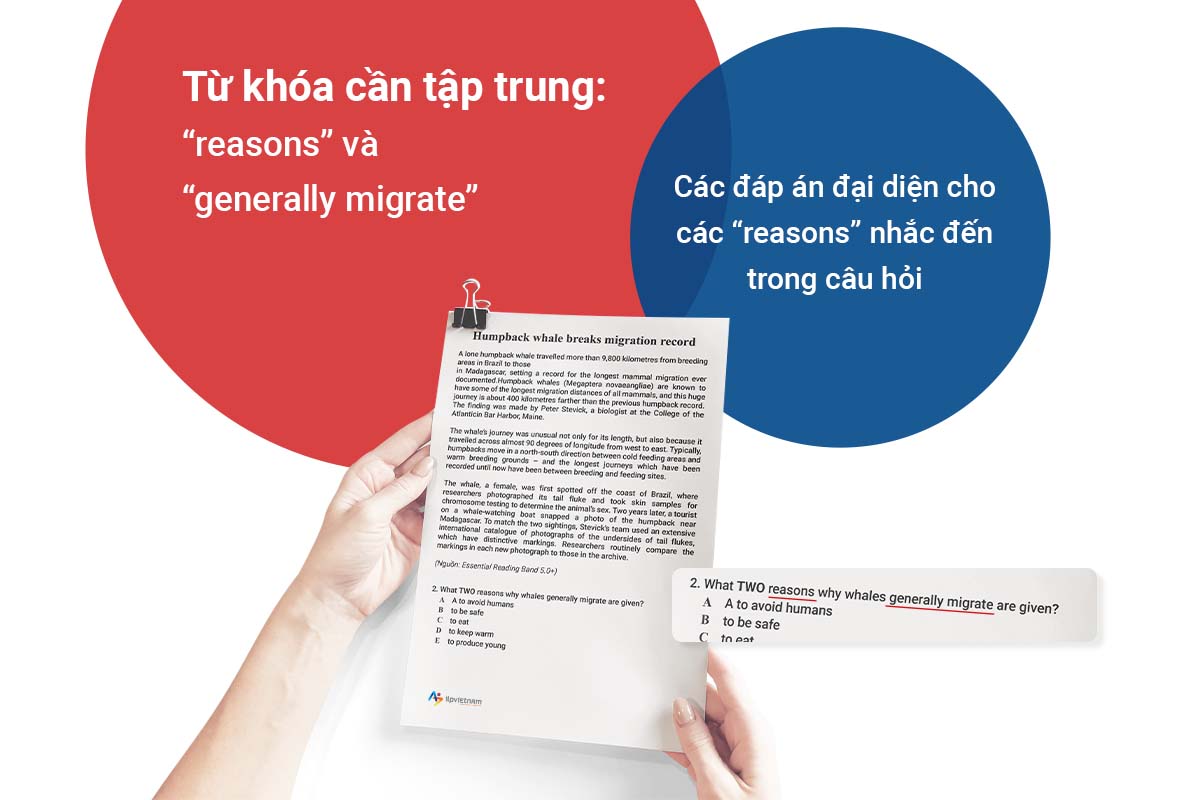 cách làm bài multiple choice ielts reading như thế nào