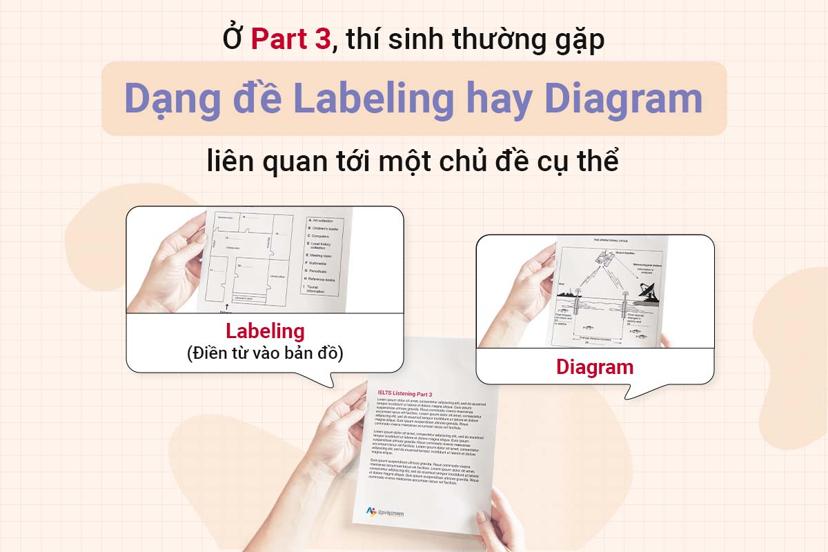 Bài nghe IELTS Part 3 là dạng đề Labeling hay Diagram