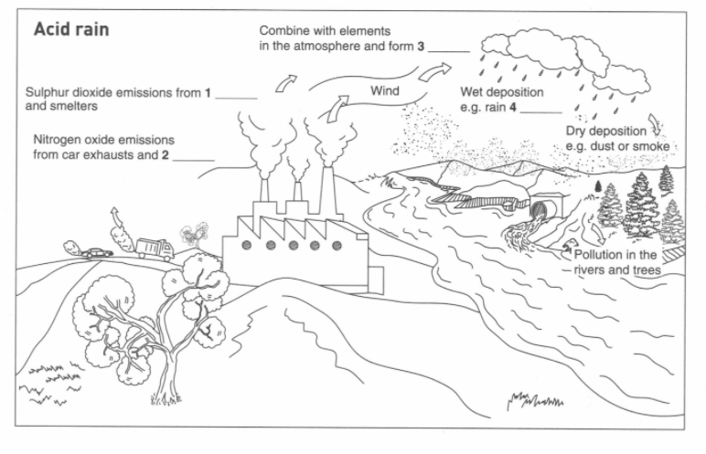 ví dụ dạng bài Diagram