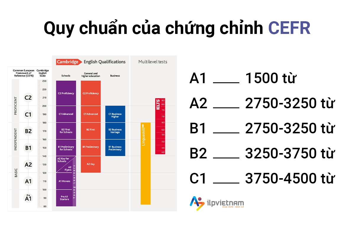 quy chuẩn học từ vựng tiếng anh