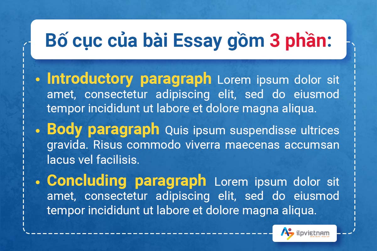 viết essay bố cục của 1 bài essay hoàn chỉnh