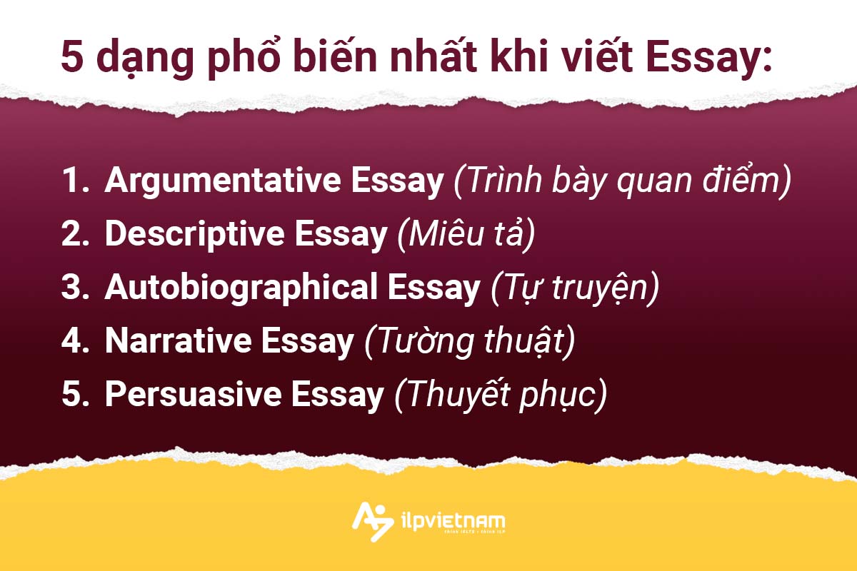 các dạng bài essay