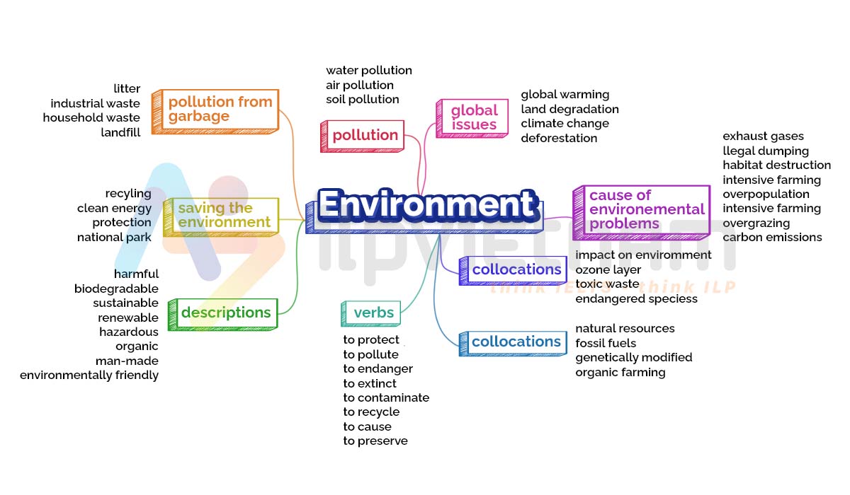 ví dụ về mindmap để lập dàn ý