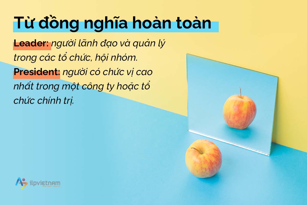 từ đồng nghĩa không hoàn toàn - leader & president