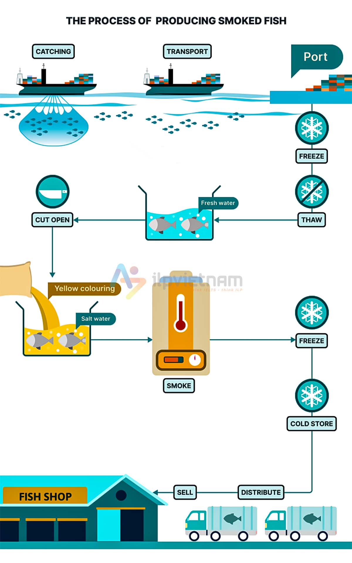 đề minh họa process - dùng sequencing words