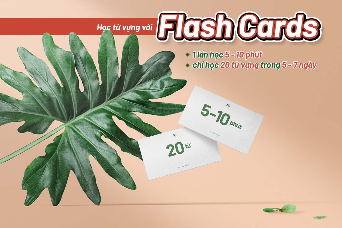 phân bổ thời gian học từ vựng với flash cards