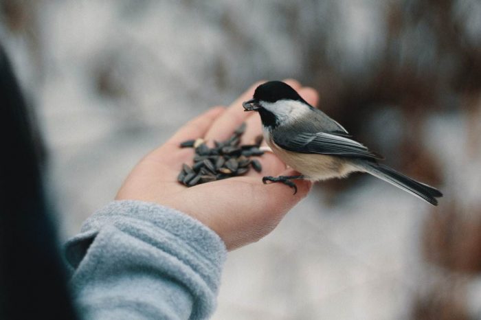 Cách nhìn vào cõi đời đời