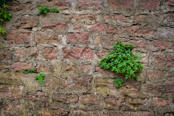 Sống hay tồn tại? Tùy bạn chọn