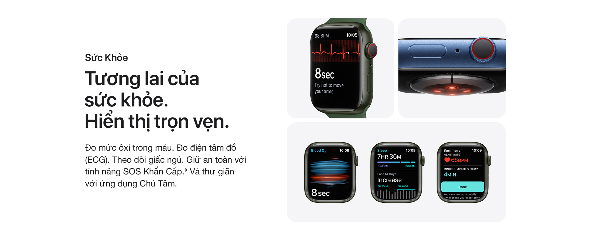 Apple Watch Series 7 LTE 41mm - Sức khoẻ