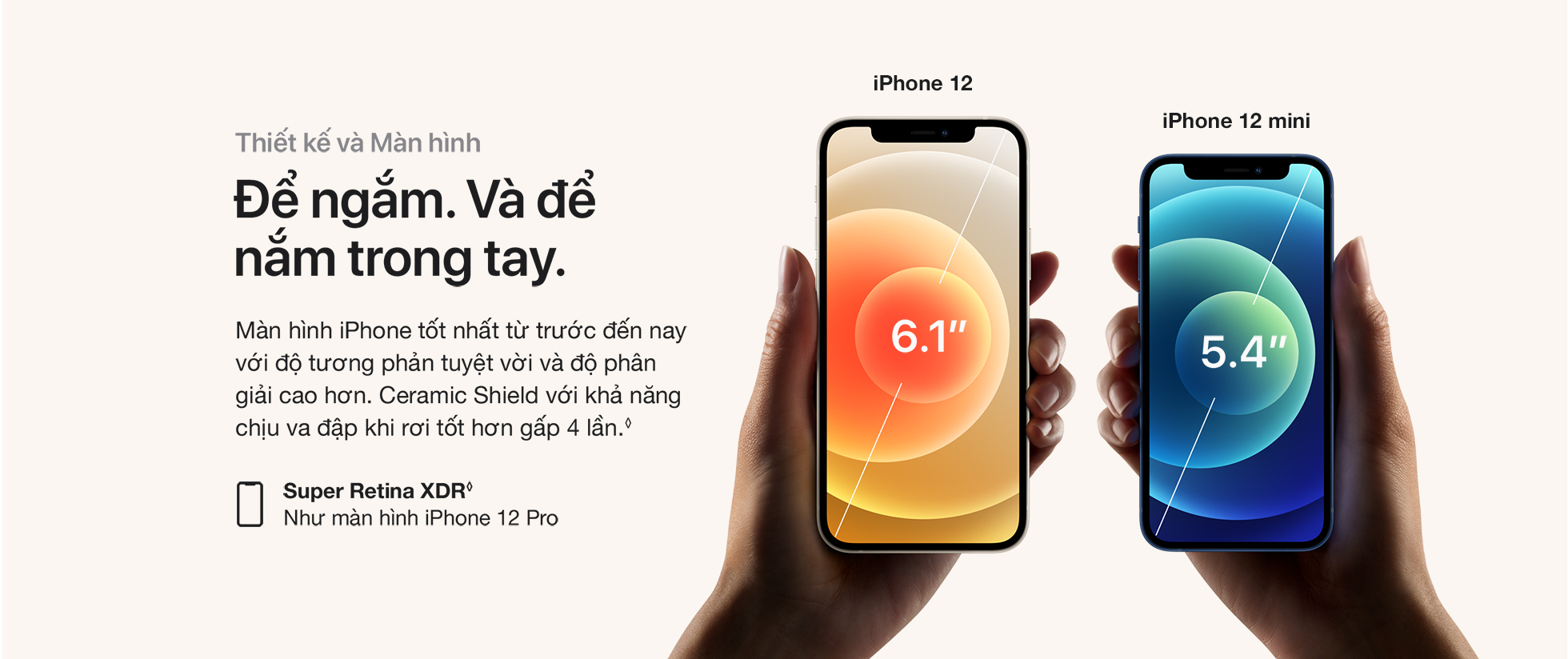 iPhone 12 mini Thiết kế và Màn hình