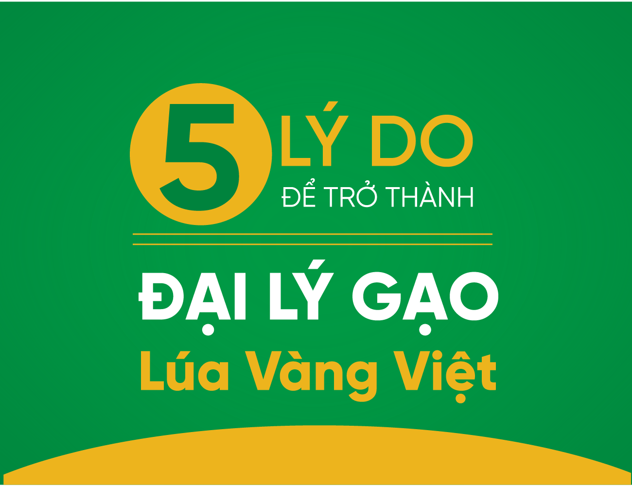 05  lý do để trở thành Đại lý gạo của Lúa Vàng Việt