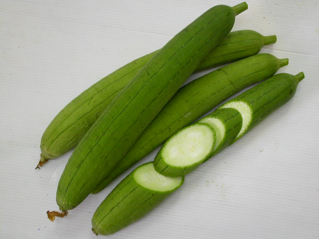 Vietnam High-Quality Fresh Fresh Edible Luffa / Spong Gourd