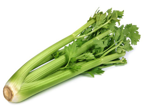 Vietnam Hot Sale Fresh Celery 100% Organic And Nutritious