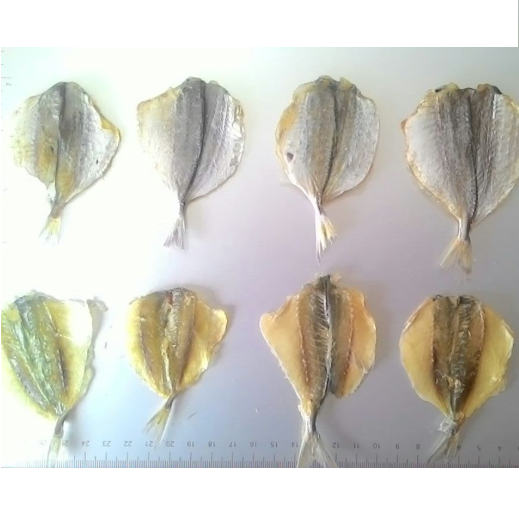 Vietnam Dried Trevally