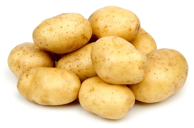 Vietnam High-Quality Fresh Potato