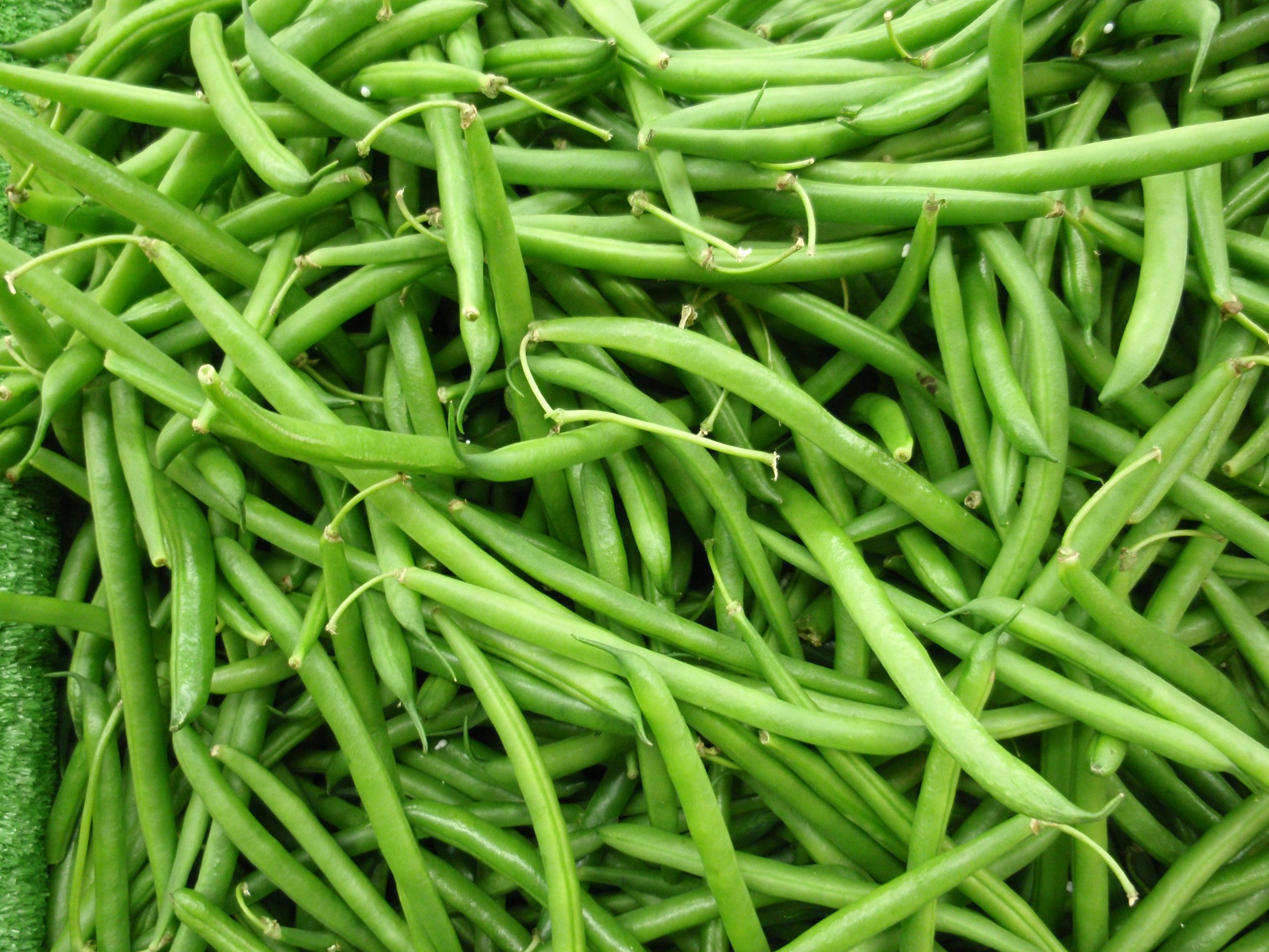 Vietnam High-Quality Asparagus Bean/ String Bean