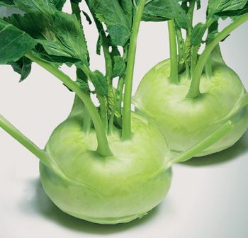 Vietnam High-Quality Fresh Kohlrabi