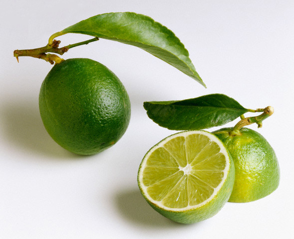 Vietnam High-Quality Limes; Persian limes; Seedles limes