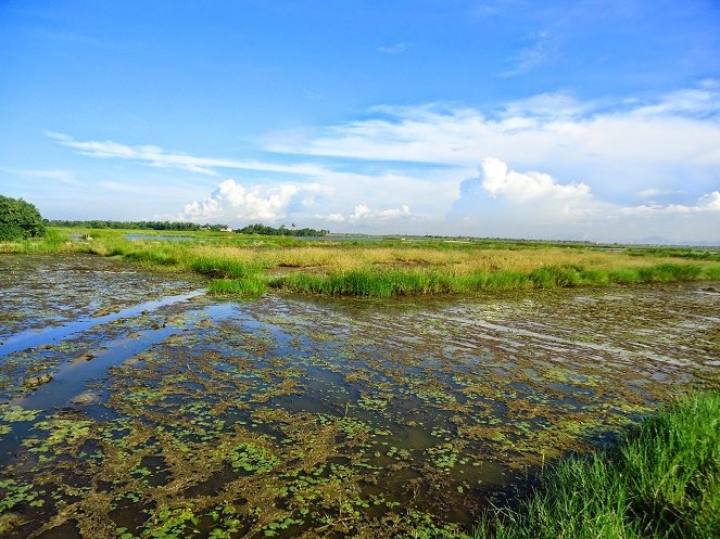 Nơi bán vật liệu nước nhiễm mặn thành ngọt tại TP.HCM giá rẻ, chất lượng năm 2022 Nơi bán vật liệu nước nhiễm mặn thành ngọt tại TP.HCM giá rẻ, chất lượng năm 2022