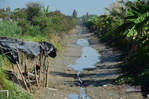 Các giải pháp chống xâm nhập mặn ở ĐBSCL mới nhất 2022 Các giải pháp chống xâm nhập mặn ở ĐBSCL mới nhất 2022