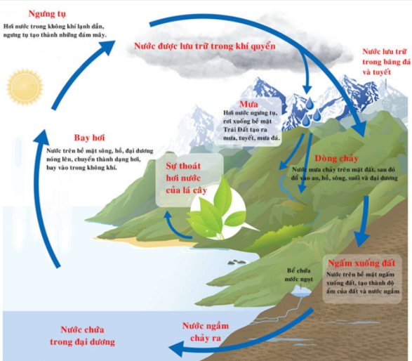 nuoc-ngam-la-gi-nguyen-ly-hinh-thanh-nuoc-ngam