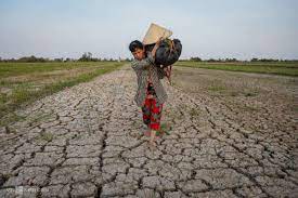 Các giải pháp chống xâm nhập mặn ở ĐBSCL mới nhất 2022 Các giải pháp chống xâm nhập mặn ở ĐBSCL mới nhất 2022